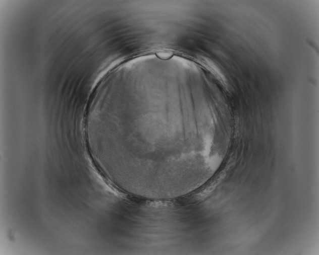 X0000097870806200804041549