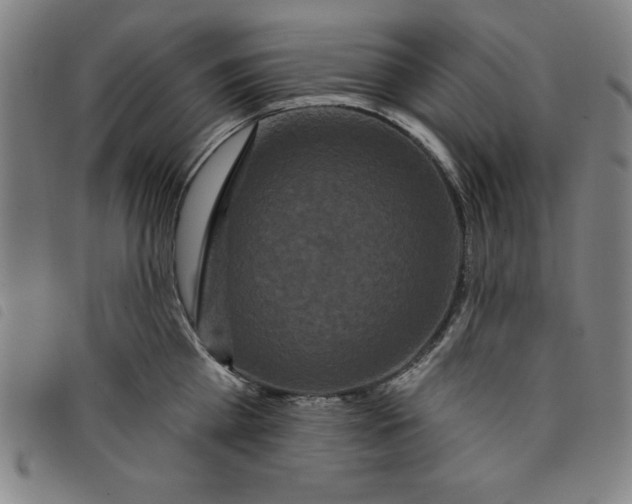 X0000097870809200804041549