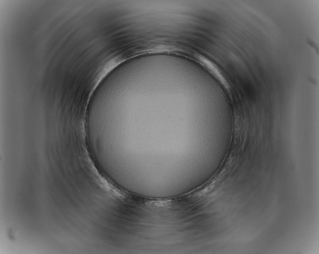 X0000097870810200804041549
