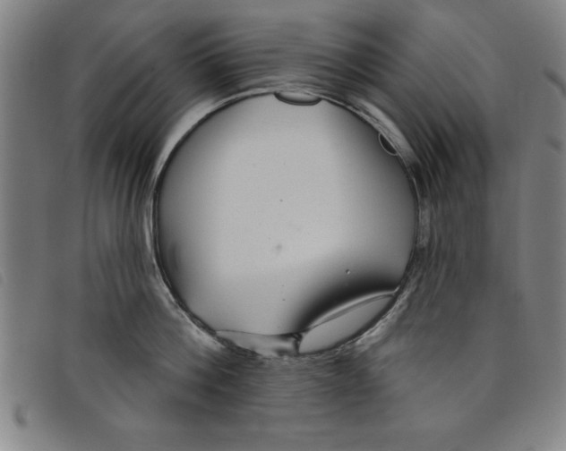 X0000097870812200804041549