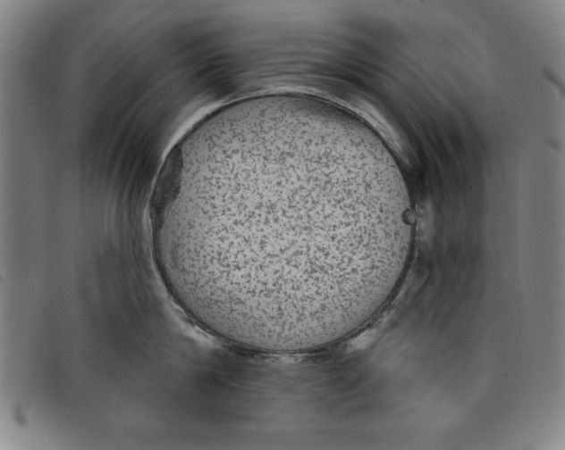 X0000097870814200804041549