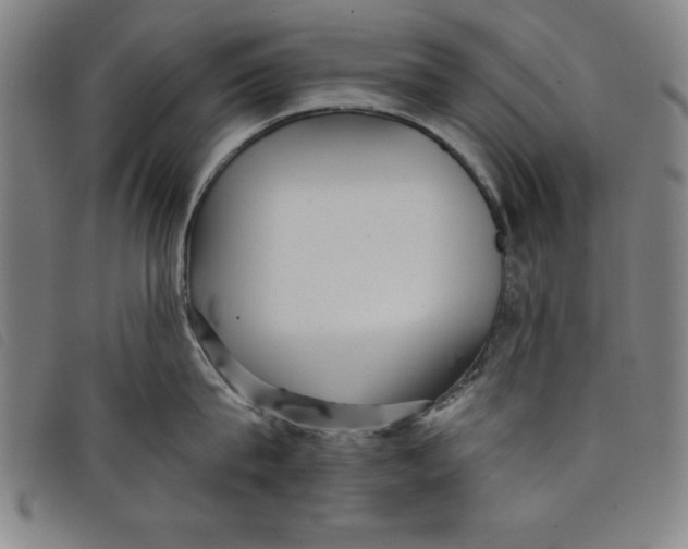 X0000097870815200804041549