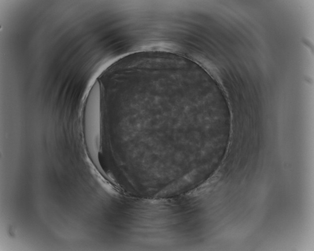 X0000097870816200804041549