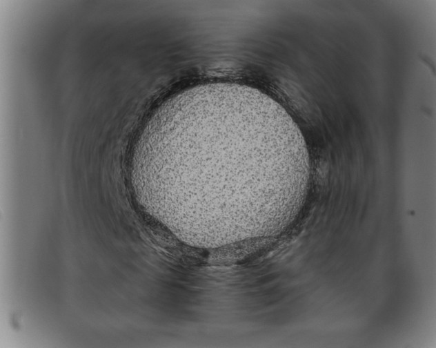 X0000097870817200804041549