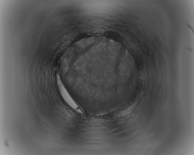 X0000097870818200804041549
