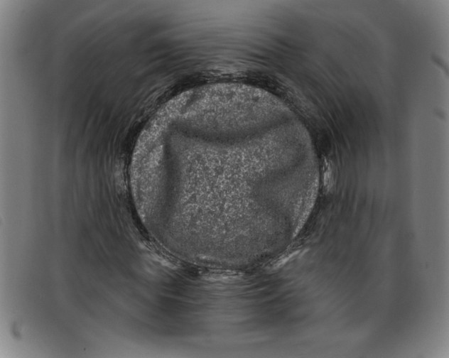X0000097870819200804041549
