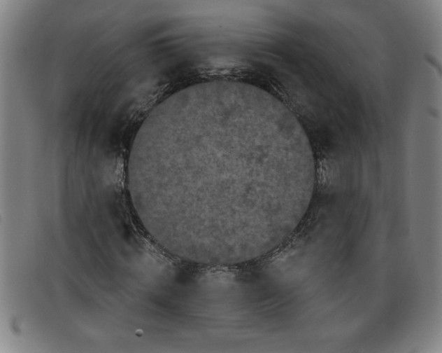 X0000097870820200804041549