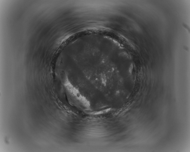 X0000097870822200804041549
