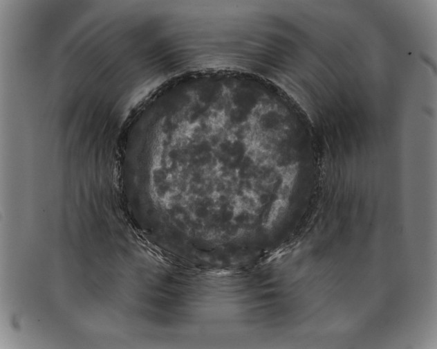 X0000097870823200804041549