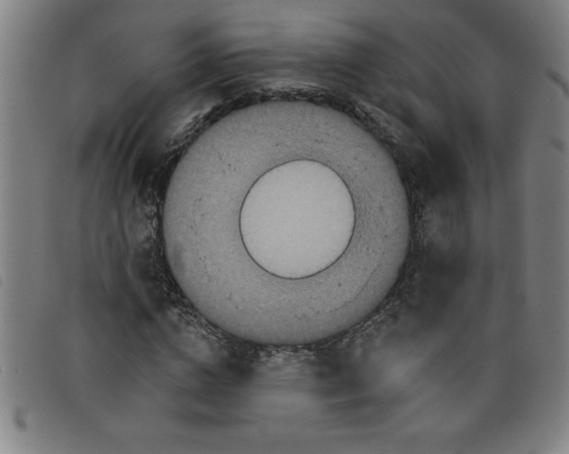 X0000097870824200804041549