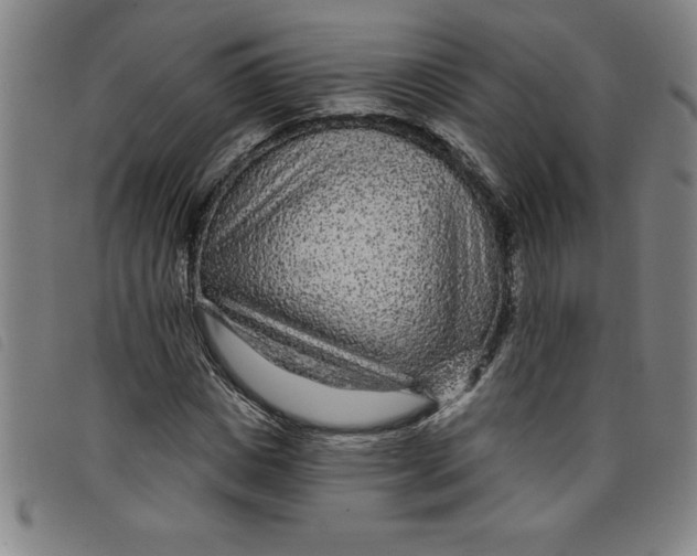 X0000097870825200804041549
