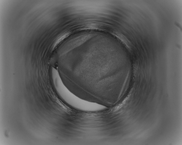 X0000097870826200804041549