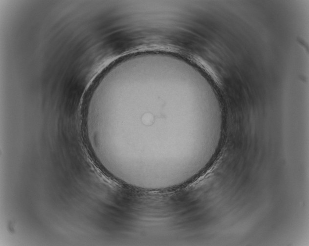X0000097870828200804041549