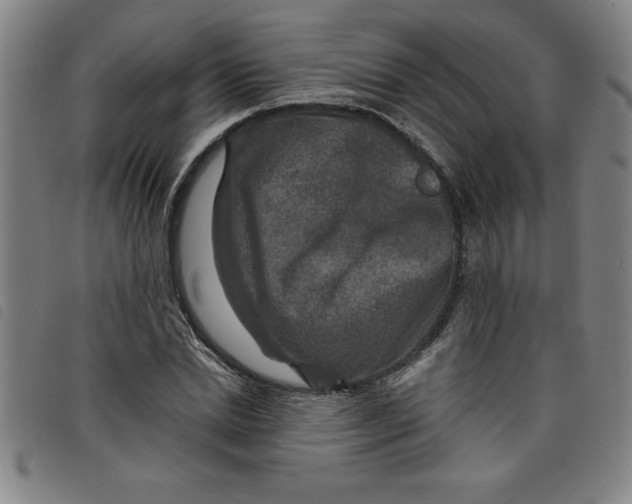 X0000097870830200804041549