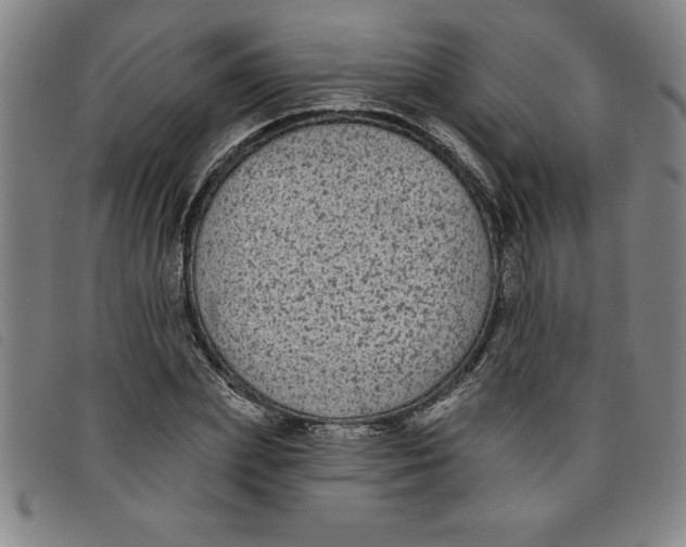 X0000097870831200804041549