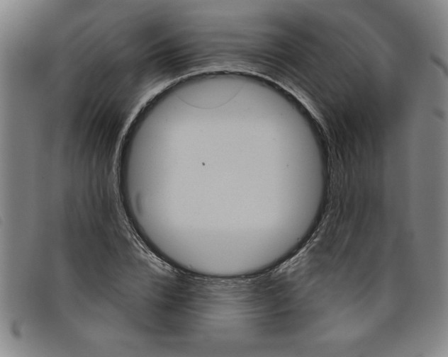 X0000097870832200804041549