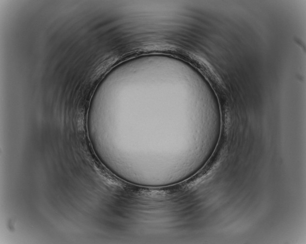 X0000097870833200804041549