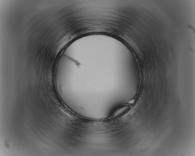 X0000097870834200804041549
