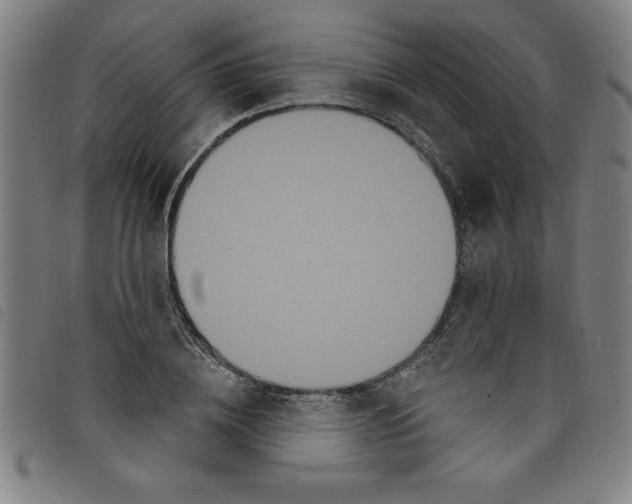 X0000097870836200804041549