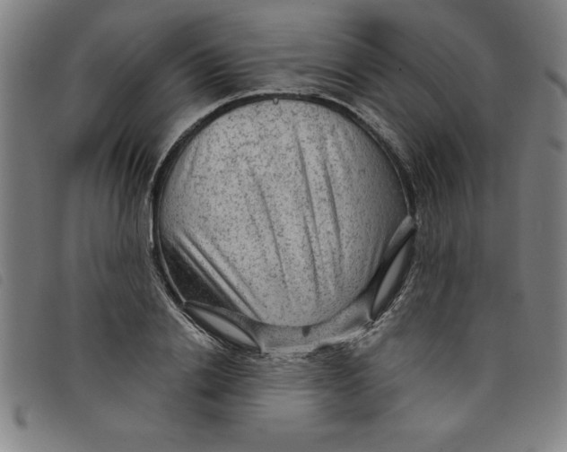 X0000097870838200804041549