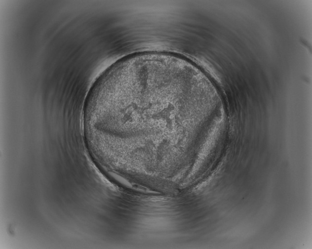 X0000097870839200804041549