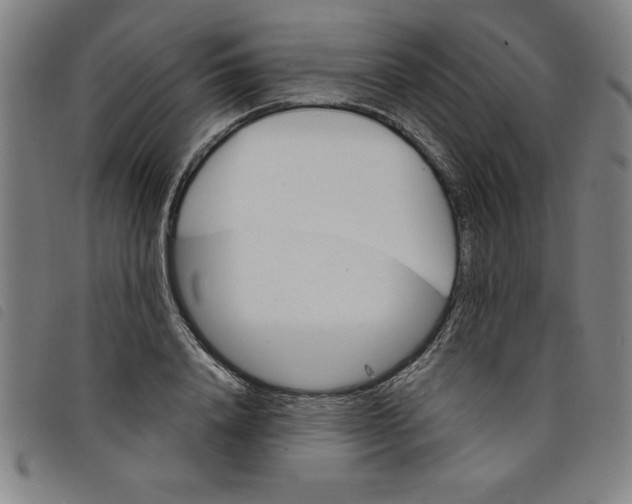 X0000097870840200804041549