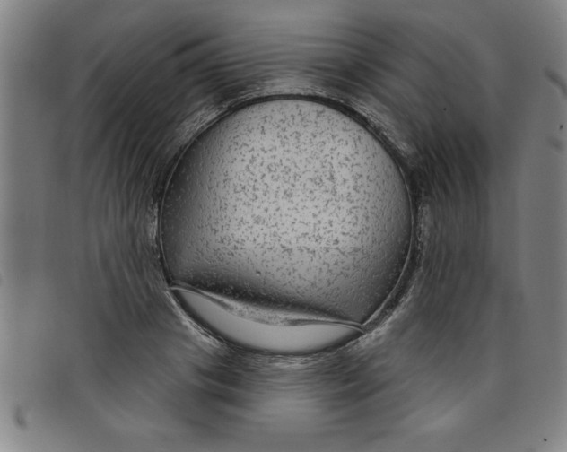 X0000097870841200804041549