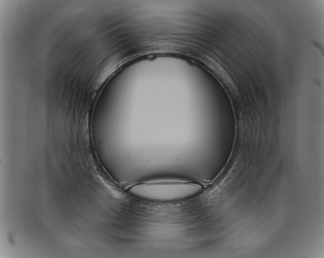 X0000097870842200804041549