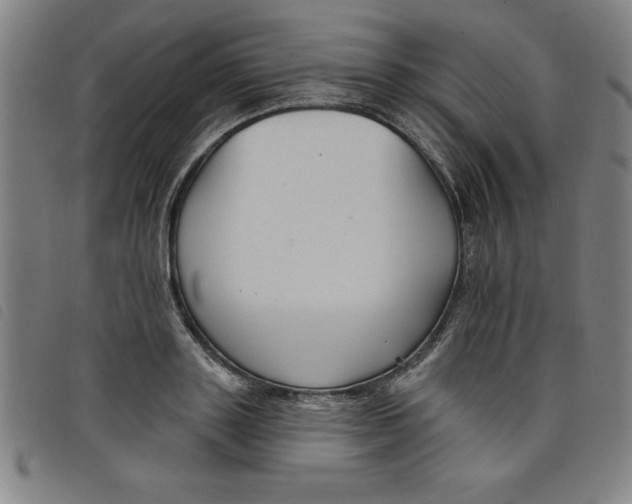 X0000097870843200804041549