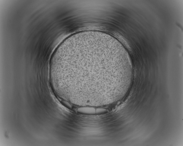 X0000097870844200804041549