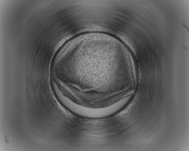 X0000097870845200804041549