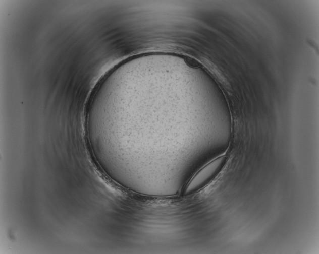 X0000097870846200804041549