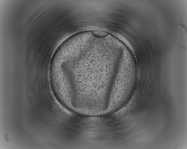 X0000097870847200804041549