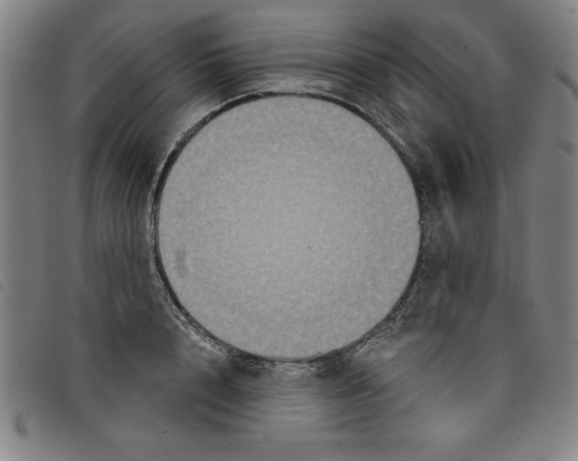 X0000097870848200804041549