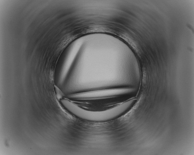 X0000097870849200804041549