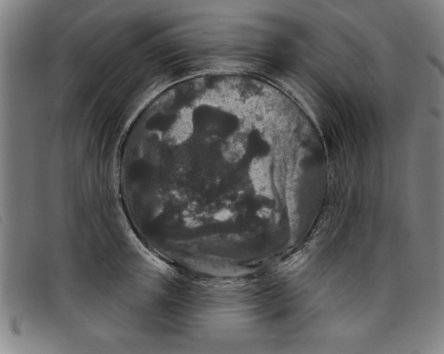 X0000097870851200804041549