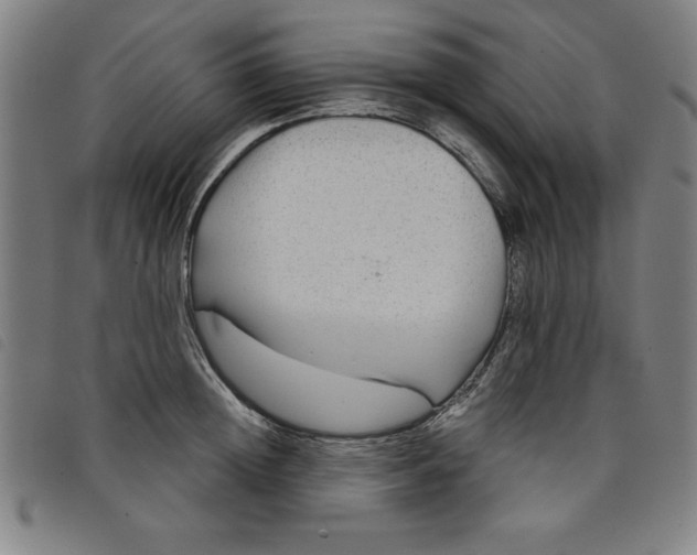 X0000097870852200804041549