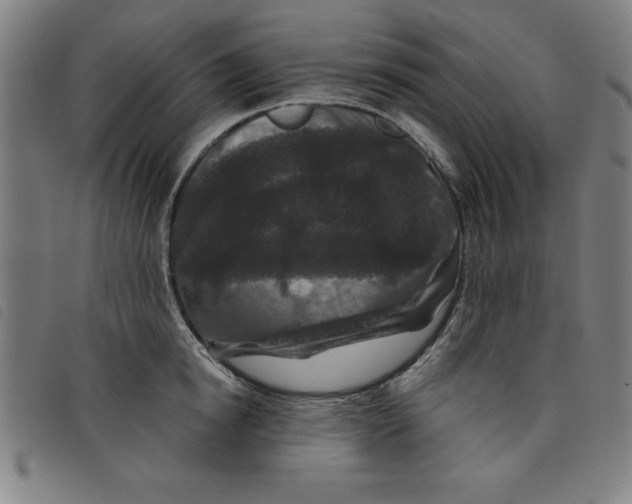 X0000097870854200804041549