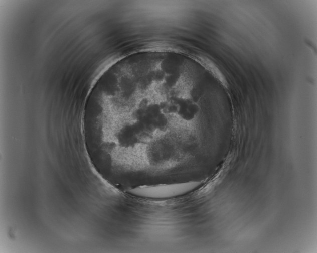 X0000097870855200804041549