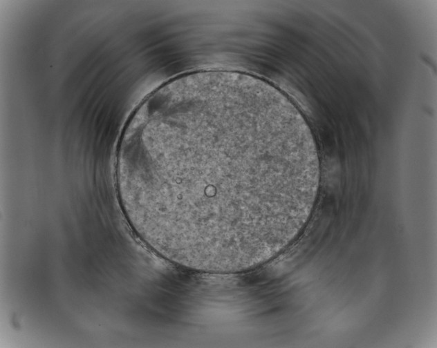 X0000097870856200804041549