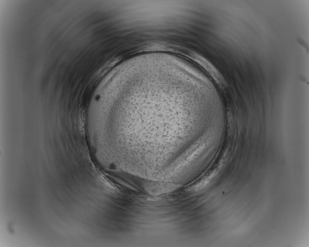 X0000097870857200804041549
