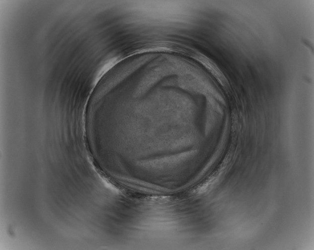 X0000097870858200804041549