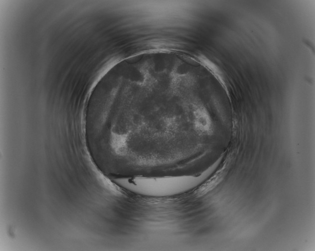 X0000097870859200804041549