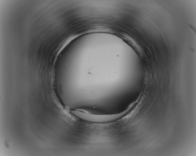 X0000097870860200804041549