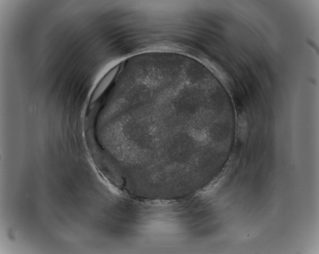 X0000097870862200804041549