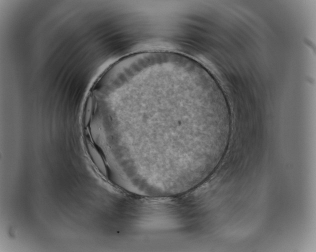 X0000097870864200804041549