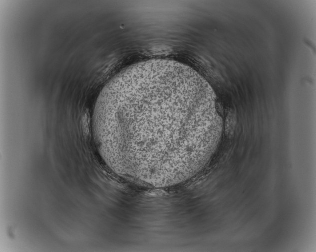 X0000097870866200804041548