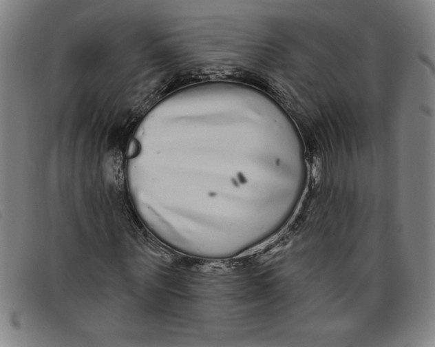 X0000097870867200804041548