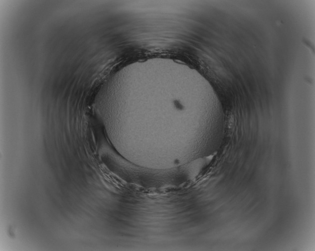 X0000097870868200804041548