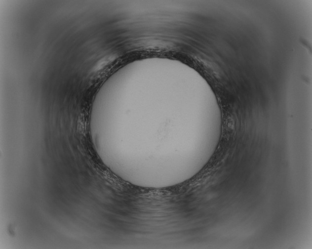 X0000097870869200804041548